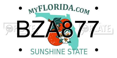 BZA877 Florida License Plate