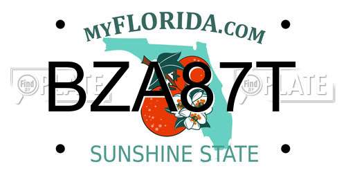 BZA87T Florida License Plate