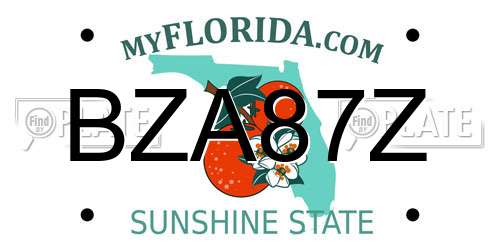 BZA87Z Florida License Plate