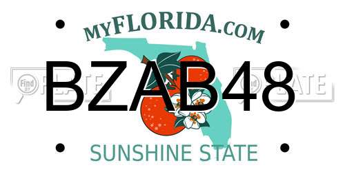 BZAB48 Florida License Plate