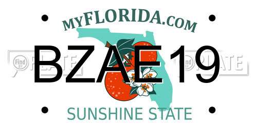 BZAE19 Florida License Plate