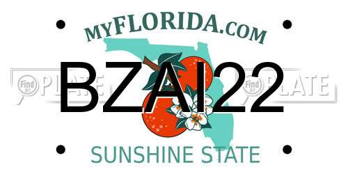BZAI22 Florida License Plate