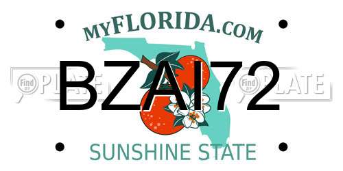 BZAI72 Florida License Plate