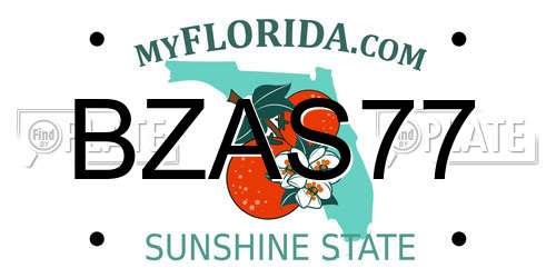 BZAS77 Florida License Plate