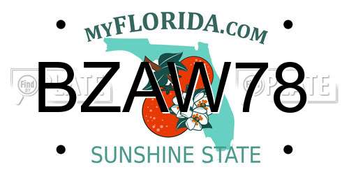 BZAW78 Florida License Plate