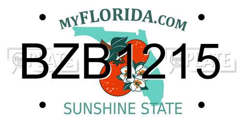 BZB1215 Florida License Plate
