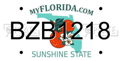 BZB1218 Florida License Plate