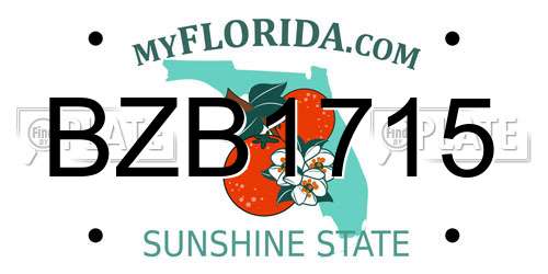 BZB1715 Florida License Plate