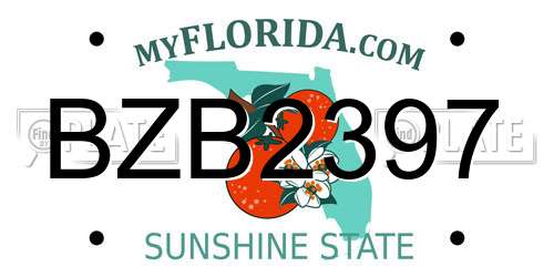 BZB2397 Florida License Plate