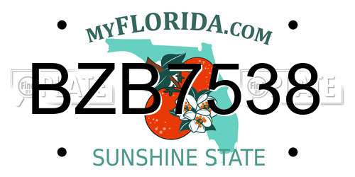 BZB7538 Florida License Plate