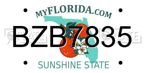 BZB7835 Florida License Plate