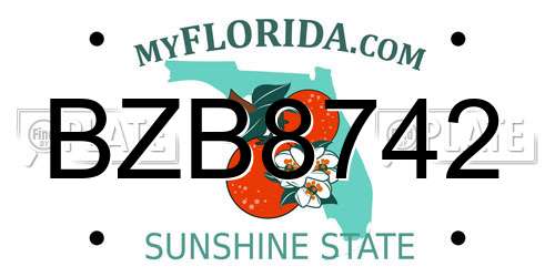 BZB8742 Florida License Plate
