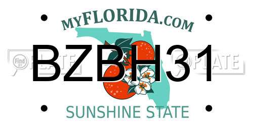 BZBH31 Florida License Plate