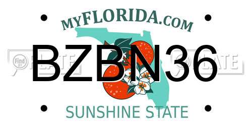 BZBN36 Florida License Plate