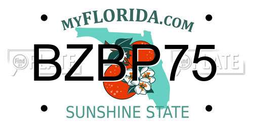 BZBP75 Florida License Plate