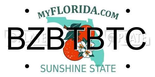 BZBTBTC Florida License Plate