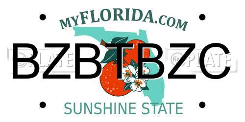 BZBTBZC Florida License Plate