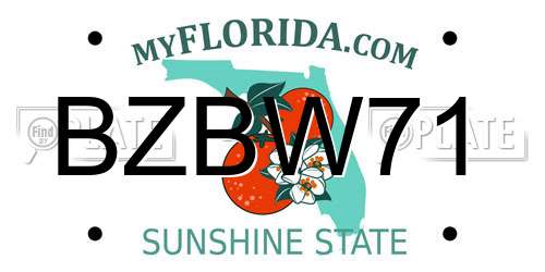 BZBW71 Florida License Plate