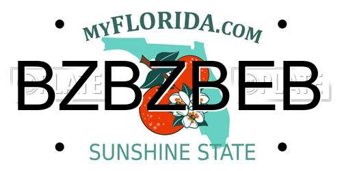 BZBZBEB Florida License Plate