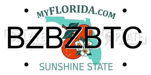 BZBZBTC Florida License Plate