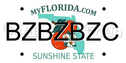 BZBZBZC Florida License Plate