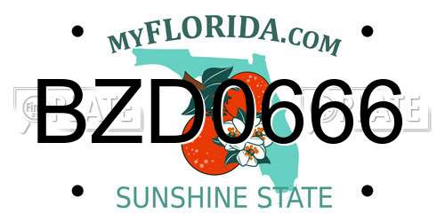 BZD0666 Florida License Plate