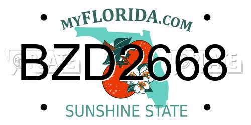 BZD2668 Florida License Plate