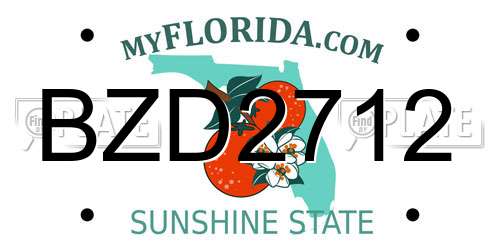 BZD2712 Florida License Plate