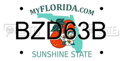 BZD63B Florida License Plate