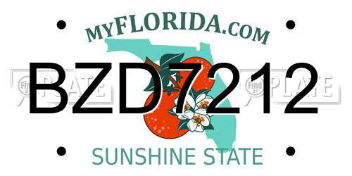 BZD7212 Florida License Plate