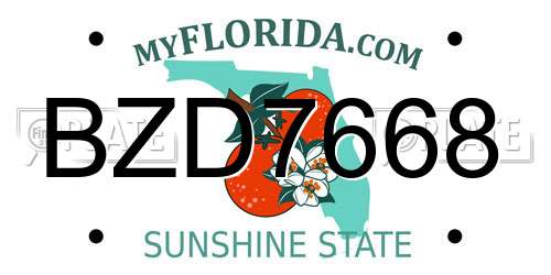 BZD7668 Florida License Plate