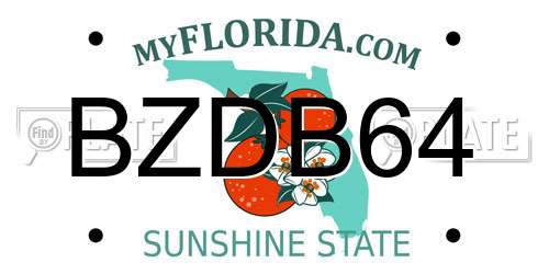 BZDB64 Florida License Plate