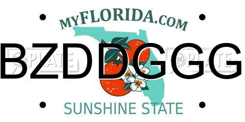 BZDDGGG Florida License Plate