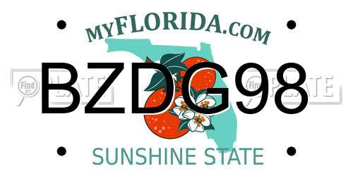 BZDG98 Florida License Plate