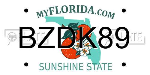 BZDK89 Florida License Plate