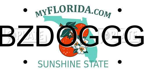 BZDOGGG Florida License Plate