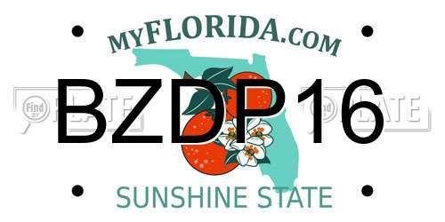 BZDP16 Florida License Plate