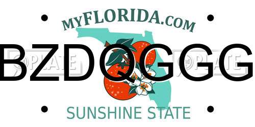 BZDQGGG Florida License Plate
