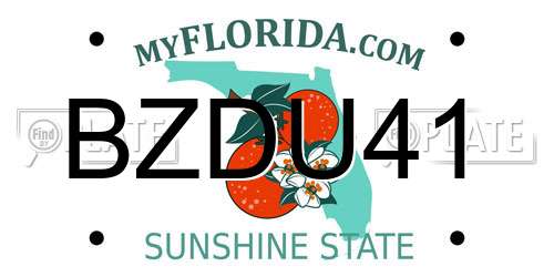 BZDU41 Florida License Plate