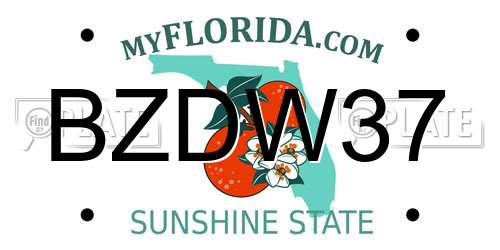 BZDW37 Florida License Plate