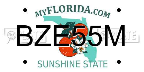 BZE55M Florida License Plate