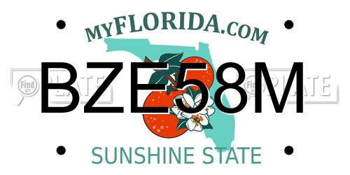 BZE58M Florida License Plate