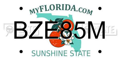 BZE85M Florida License Plate