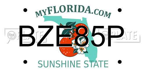 BZE85P Florida License Plate