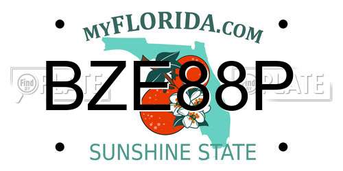 BZE88P Florida License Plate