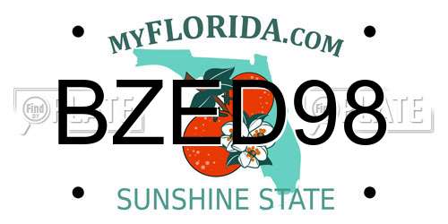 BZED98 Florida License Plate