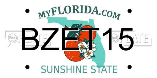 BZET15 Florida License Plate