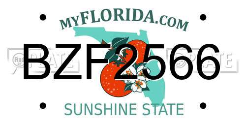 BZF2566 Florida License Plate