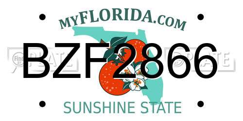 BZF2866 Florida License Plate