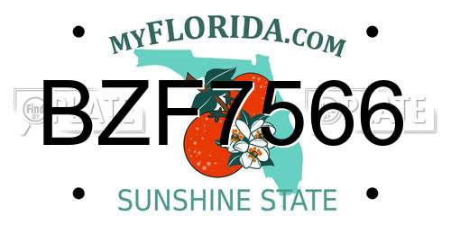 BZF7566 Florida License Plate